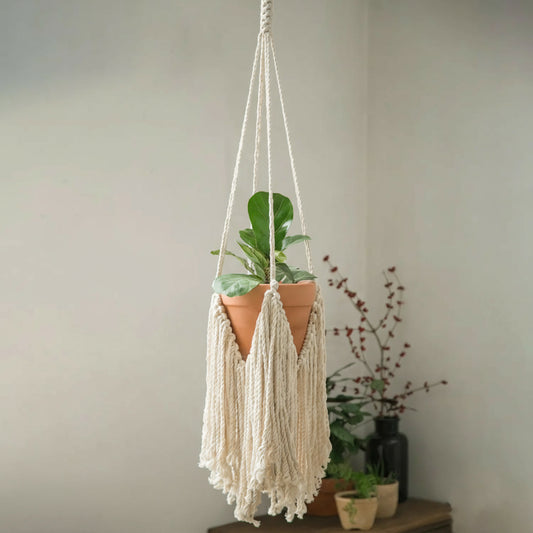 Macrame plant hanger with a potted plant against a plain wall.